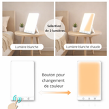 Panneau lumière blanche 10000 Lux LED