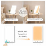 Panneau lumière blanche 10000 Lux LED